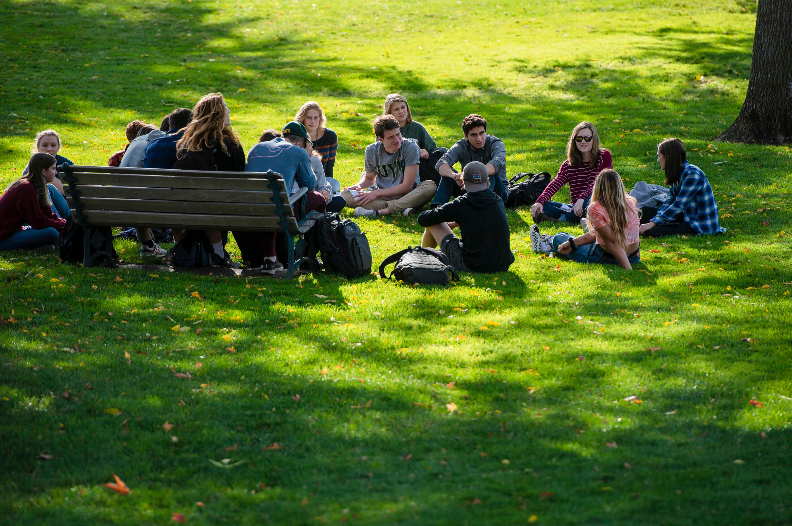 Students gather on the quad